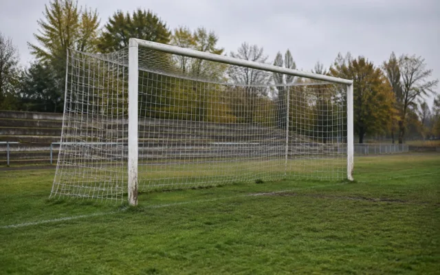 Teren de fotbal Dumbrăvița