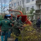 O echipă de muncitori îmbrăcați în echipament verde lucrează la curățarea crengilor în fața unor blocuri