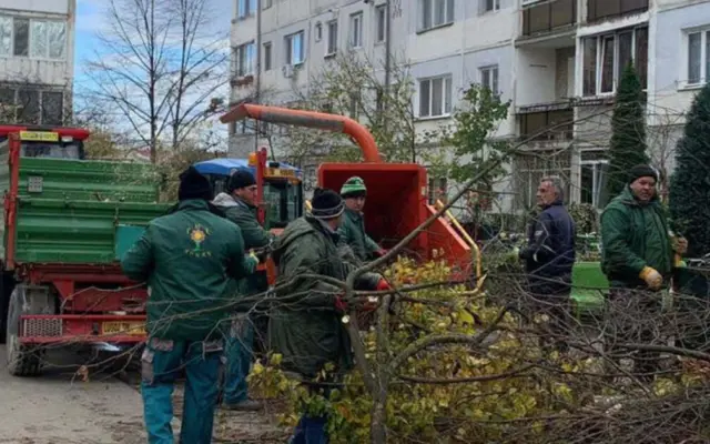 O echipă de muncitori îmbrăcați în echipament verde lucrează la curățarea crengilor în fața unor blocuri