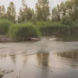 Trupul unui bărbat a fost scos din Bega, la ieșirea din Timișoara
